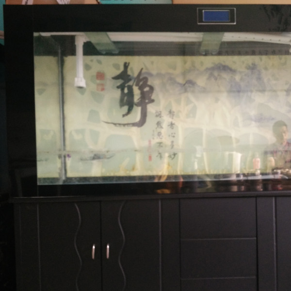 鋼琴、魚缸專運(yùn)現(xiàn)場